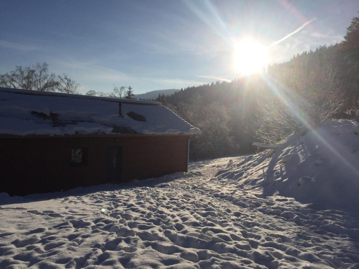 Chalet A L'Oree Du Bois 勒索里 外观 照片